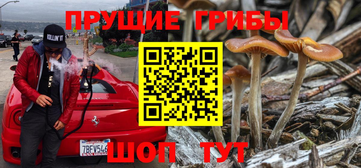 Псилоцибиновые грибы Magic Shrooms  Галлюциногенные грибы Magic Shrooms  Камышин  Вход с VPN 